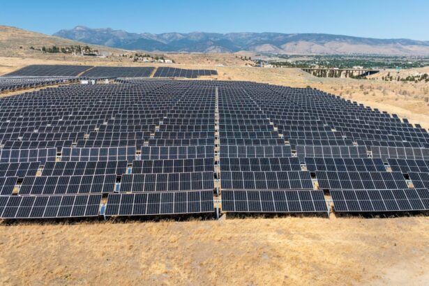 trump officials cancel major solar project in latest hit to renewable energy 68e92a1cbda95