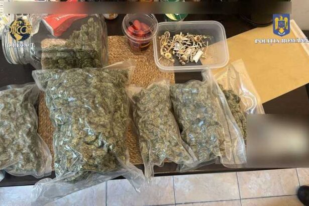 un traficant a adus din spania 8 kg de canabis printr o firma de curierat 68dd4eb8eb257