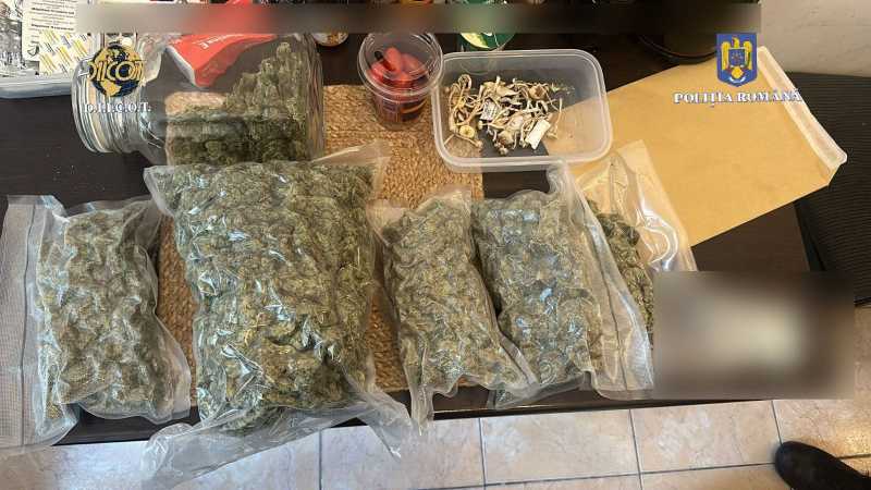 un traficant a adus din spania 8 kg de canabis printr o firma de curierat 68dd4eb8eb257