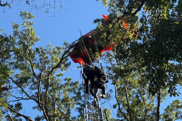 us skydiving instructor found dead after evidently falling without parachute 68e3d73e73f39