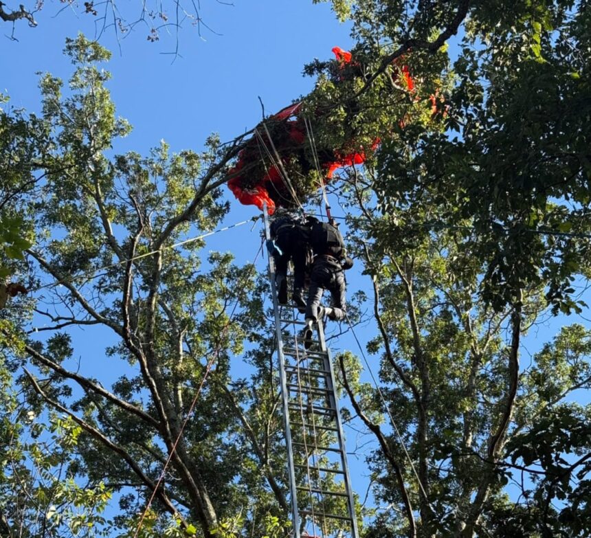 us skydiving instructor found dead after evidently falling without parachute 68e3d73e73f39
