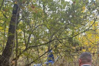 vaslui pilotul avionului prabusit a fost gasit decedat la locul impactului 68f9eb0e2bd8e