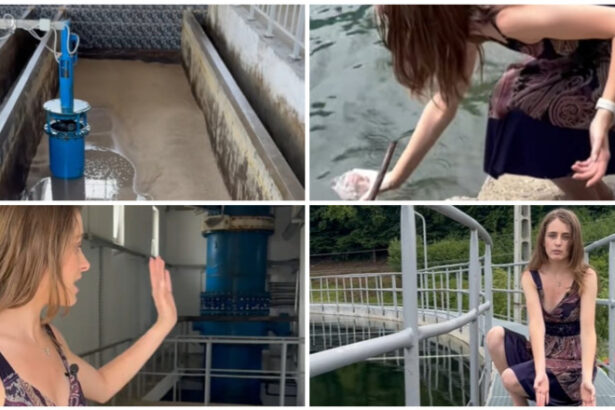 video compania de apa din romania care a devenit vedeta pe tiktok clipurile despre cum ajunge apa la robinete aduna mii de vizualizari 68df4c3c97254
