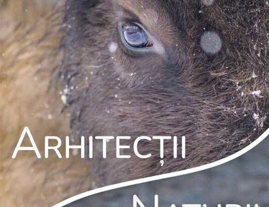 video documentarul arhitectii naturii de vineri in cinematografele din romania 68f9e3ec06c78