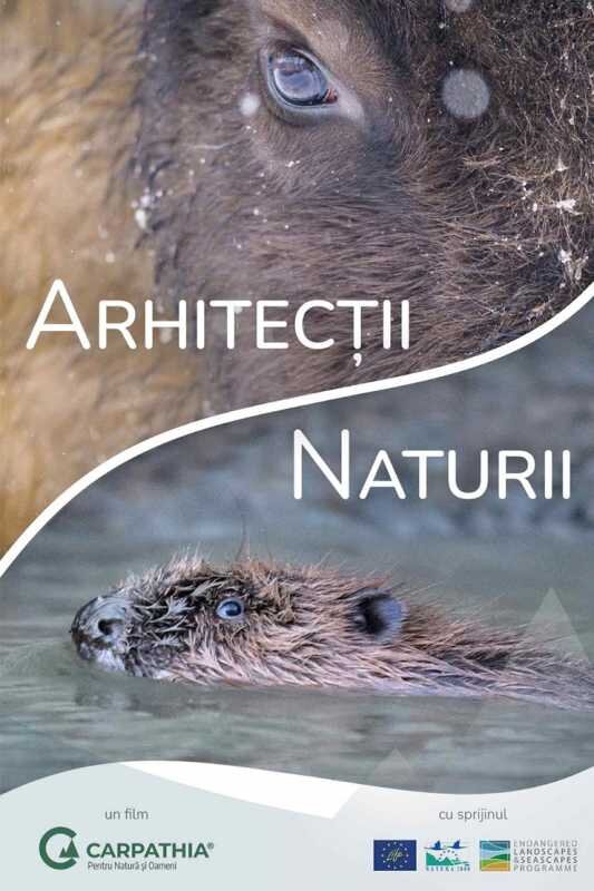 video documentarul arhitectii naturii de vineri in cinematografele din romania 68f9e3ec06c78