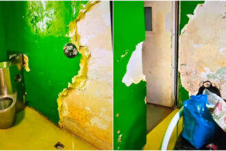 video pereti decojiti si conditii precare in sectia de psihiatrie din drobeta turnu severin reactia spitalului 68e3be09bafe0