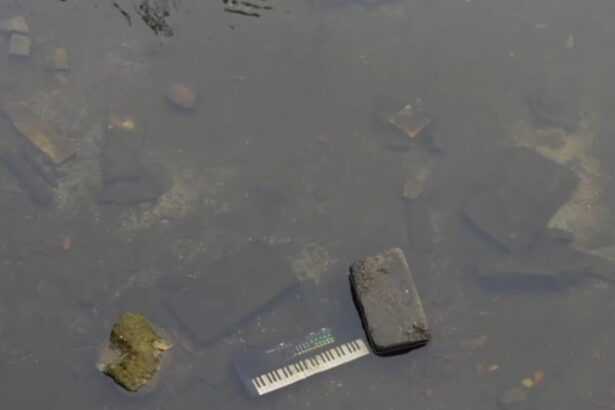 video starea deplorabila a raului dambovita din capitala scoasa la iveala odata cu lucrarile din piata unirii ce se afla pe fundul acestuia 68ff92f5a3b05