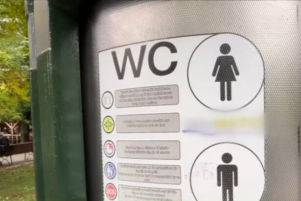 video te apuca disperarea bucurestiul nu are suficiente toalete publice sunt doar 424 la peste doua milioane de locuitori 68e8a63cc617d