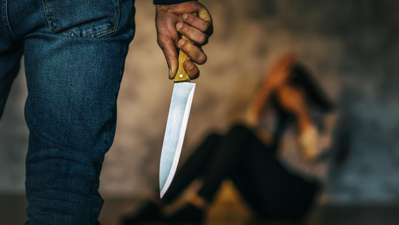 vocea victimelor se aude in parlament alina gorghiu lege mai dura impotriva violentei domestice adoptata de senat 68ffb99622c28