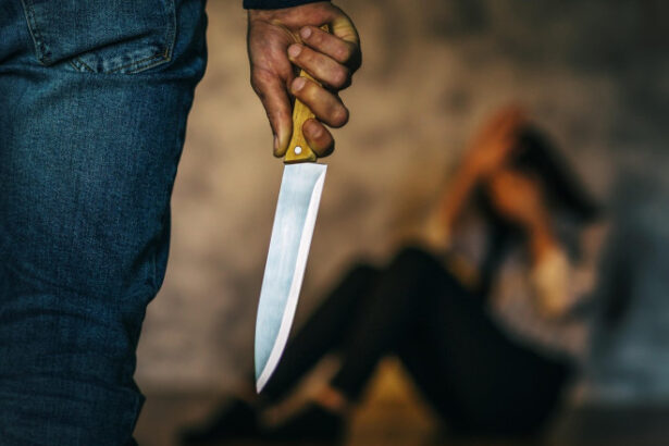 vocea victimelor se aude in parlament alina gorghiu lege mai dura impotriva violentei domestice adoptata de senat 68ffbaca17dbf