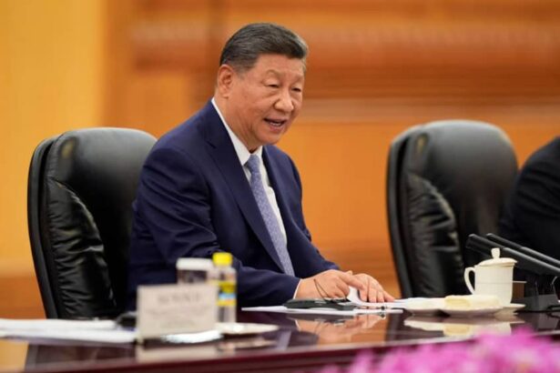 wsj strategia beijingului in razboiul comercial cu sua xi mizeaza pe teama lui donald trump de reactiile bursei americane 68f0e520ca7c5