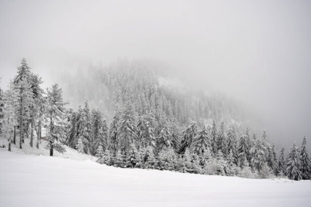 zapada si vant puternic la munte traseele turistice din bucegi baiului si ciucas au fost inchise temporar din cauza vremii 68de45402254b