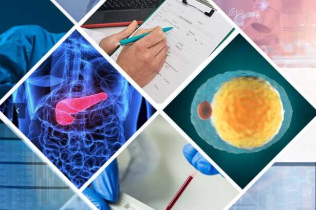 14 noiembrie ziua mondiala de lupta impotriva diabetului zaharat onu 6916e292629cd
