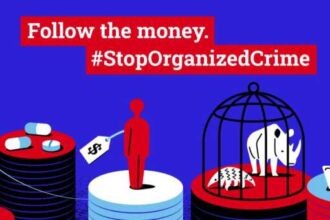 15 noiembrie ziua internationala pentru prevenirea si combaterea tuturor formelor de criminalitate organizata transnationala onu 69181808c604a