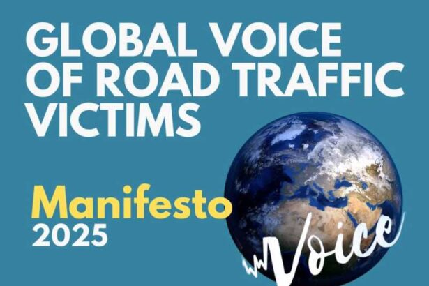 16 noiembrie ziua mondiala de comemorare a victimelor accidentelor de circulatie onu 69196aa8a8fe6