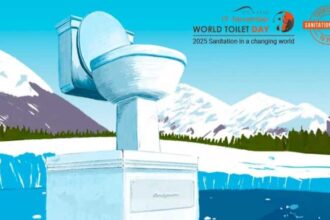 19 noiembrie ziua mondiala a toaletei onu 691d7a1821b5d