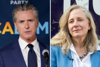 a year after devastating trump loss have the democrats begun to find their way back 690f3f02b4f1f