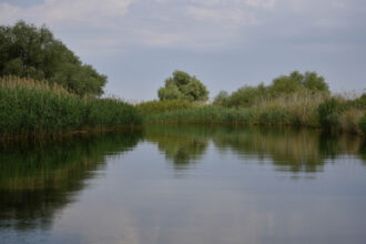 accident in delta dunarii doua ambarcatiuni de agrement s au ciocnit un tanar a fost ranit 6924345454e65