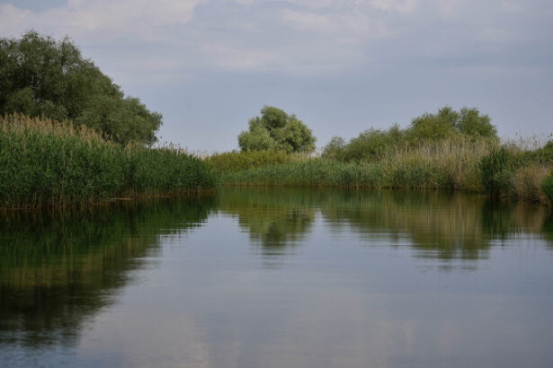 accident in delta dunarii doua ambarcatiuni de agrement s au ciocnit un tanar a fost ranit 6924345454e65