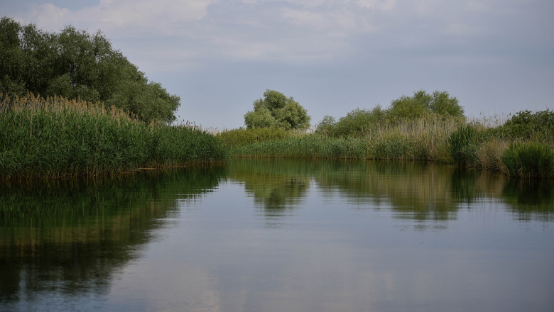 accident in delta dunarii doua ambarcatiuni de agrement s au ciocnit un tanar a fost ranit 6924345454e65