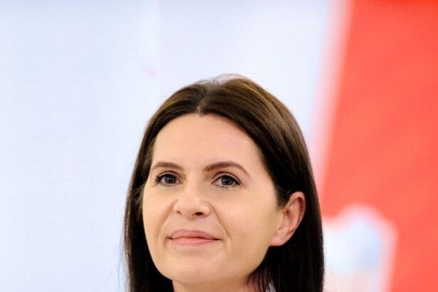 adriana saftoiu si robert schwartz au primit avize favorabile in comisiile de cultura pentru sefia srtv si srr votul in plenul comun miercuri 6925e08292137