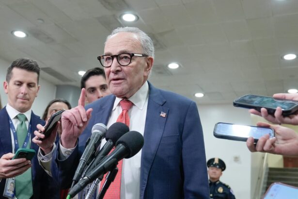 angry democrats call on schumer to resign after eight vote to end shutdown 6912746fb23c9