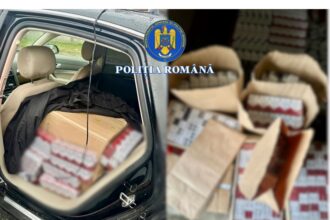 aproximativ 380 de dosare de contrabanda cu tutun si tigari deschise in primele zece luni ale anului 692ad6c62b76a