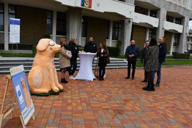 arges a fost prezentata mascota bobita simbolul campaniei de constientizare a importantei sterilizarii animalelor cu si fara stapan 69133dbf47eec