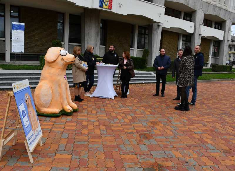 arges a fost prezentata mascota bobita simbolul campaniei de constientizare a importantei sterilizarii animalelor cu si fara stapan 69133dbf47eec