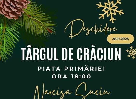 arges targul de craciun de la pitesti va fi deschis din 28 noiembrie pana pe 8 ianuarie 6909ef51cc504