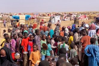 at least 36000 sudanese have fled since fall of el fasher to rsf says un agency 6908be1543615