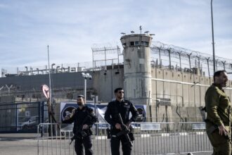 at least 98 palestinians have died in custody since october 2023 israeli data shows 691acddd5bc8b