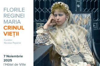 brasov muzeul judetean de istorie prezinta expozitia florile reginei maria crinul vietii la bruxelles 690dcb37e4cdc