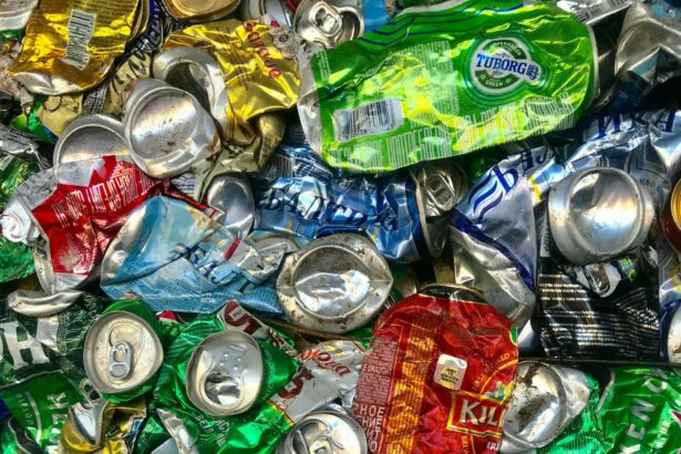 buzoianu anunta ca se ia in calcul extinderea returo in mediul rural trebuie sa dam aceleasi oportunitati si oamenilor din rural sa recicleze in aceleasi conditii 69123381b9732