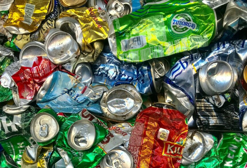 buzoianu anunta ca se ia in calcul extinderea returo in mediul rural trebuie sa dam aceleasi oportunitati si oamenilor din rural sa recicleze in aceleasi conditii 69123381b9732