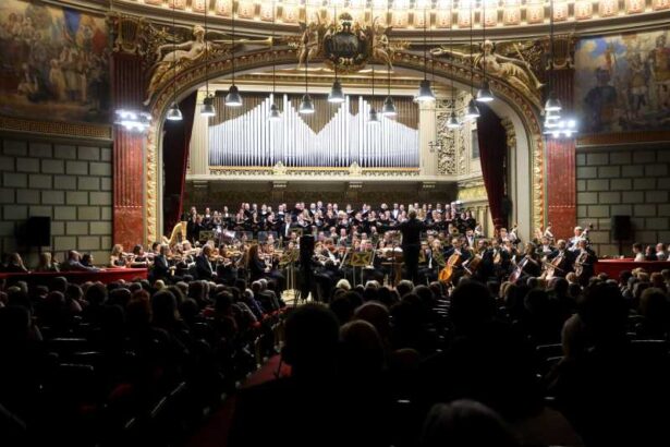 campanie dedicata opririi violentei impotriva femeii lansata de filarmonica george enescu 6925287fba075