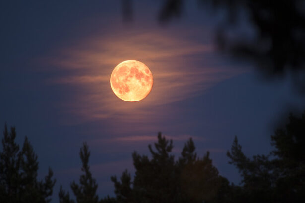 ce este super luna castorului cum se poate vedea pe cer in noaptea de 5 noiembrie inclusiv in romania 690a33f4f39ba