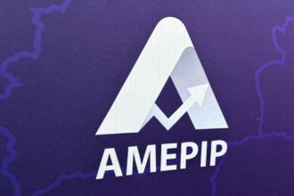 cine face parte din conducerea amepip anisoara ulceluse sefa de departament la comisia europeana si director de finante la mai multe firme din mediul privat 6929585078889