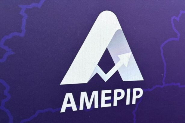 cine face parte din conducerea amepip anisoara ulceluse sefa de departament la comisia europeana si director de finante la mai multe firme din mediul privat 6929585078889