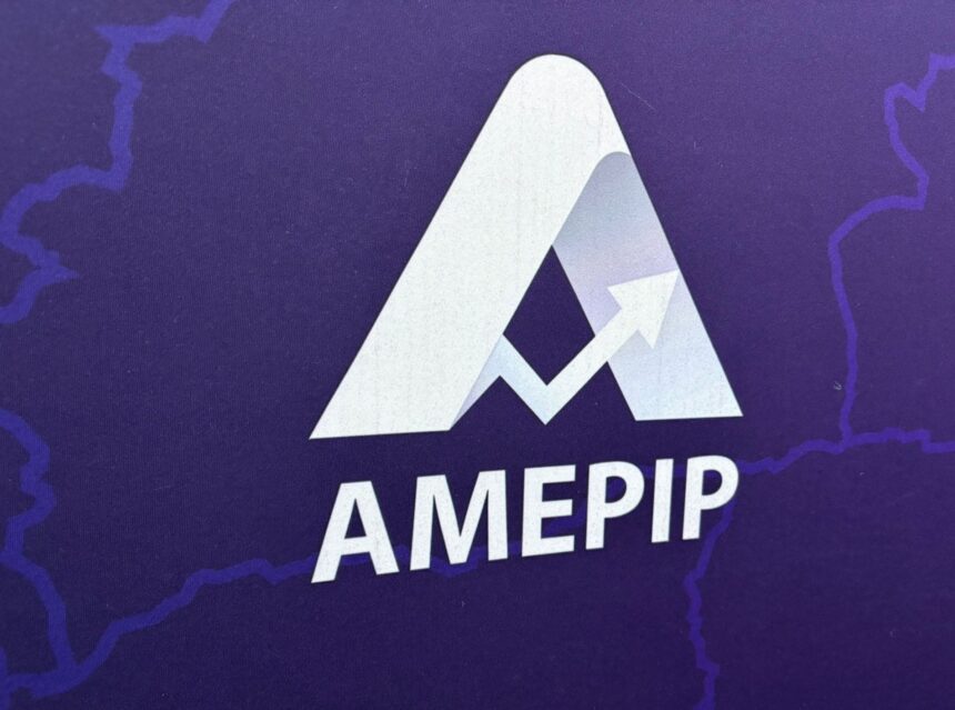 cine face parte din conducerea amepip anisoara ulceluse sefa de departament la comisia europeana si director de finante la mai multe firme din mediul privat 6929585078889