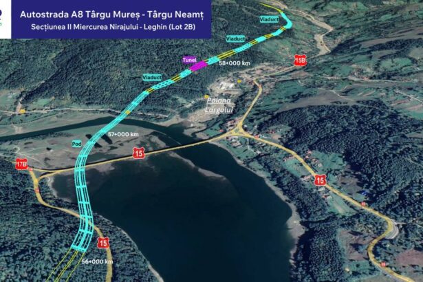 ciprian serban a fost emis ordinul de protectie pentru cel mai dificil lot al autostrazii unirii 691b37ece959f