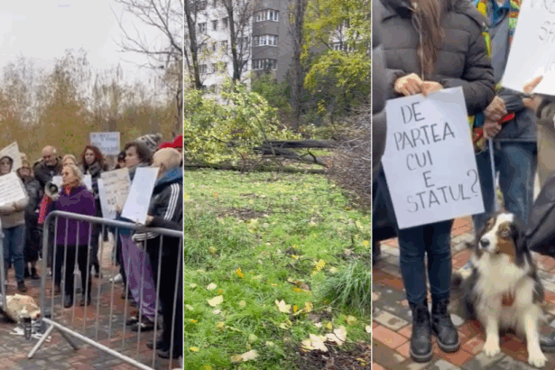 ciucu cazul din parcul ior e revoltator acei oameni trebuie luati pe sus 6926cf467a02d