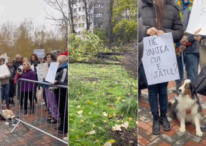 ciucu cazul din parcul ior e revoltator acei oameni trebuie luati pe sus 6926cf467a02d