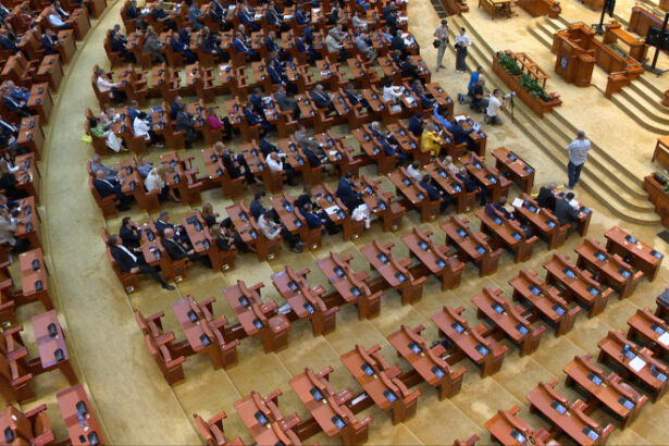 cum voteaza romanii in functie de varsta partidele pentru care ar opta doua treimi din tineri seniorii raman fideli psd sondaj 69119f8d8ffc8