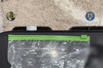 dambovita perchezitii la persoane care voiau sa infiinteze culturi de canabis 691d7b48a1f09