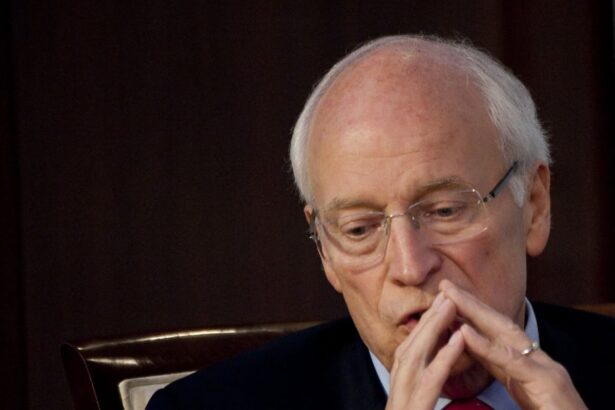 dick cheney vice president and giant of republican politics dies aged 84 6909e633879eb