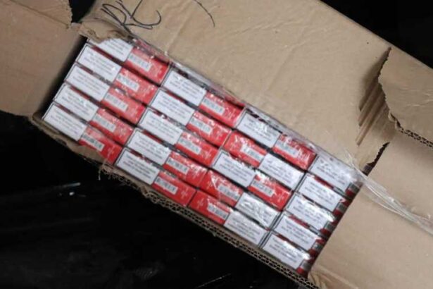 dolj cetatean sarb arestat preventiv pentru contrabanda transporta circa 200 000 pachete de tigari 691b03a6c1896