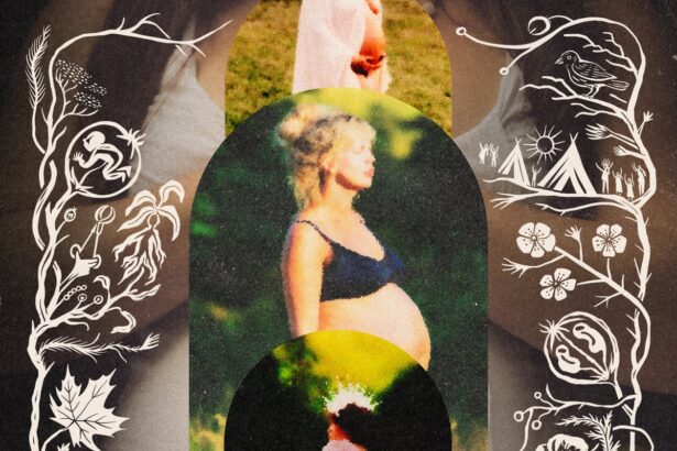 five key findings from our investigation into the free birth society 6922b35ac8def