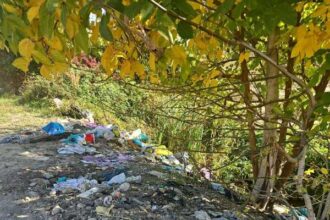 gorj amenzi de peste 100 000 de lei pentru nerespectarea prevederilor legale in domeniul gestionarii deseurilor 691ad83adfdf1