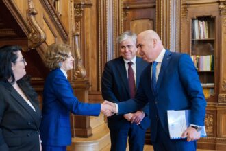 grindeanu declaratiile vicepremierului gheorghiu sunt populiste dar demersul csm este exagerat 6912ea50885fa